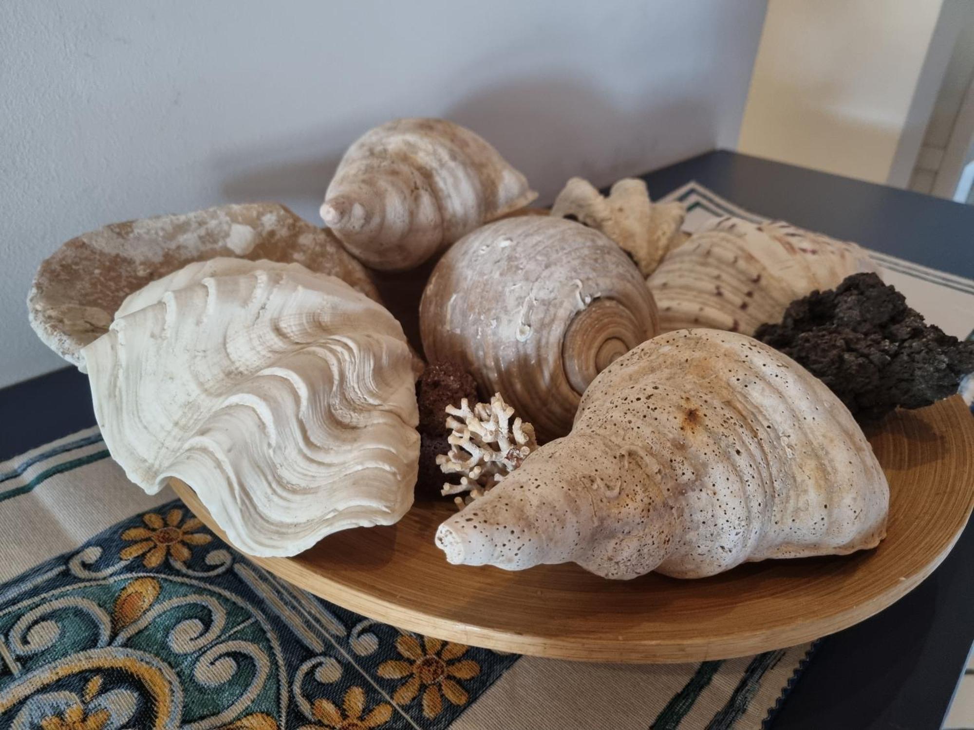 Villa Sicily Sul Mare Tra Catania E Siracusa 아우구스타 외부 사진