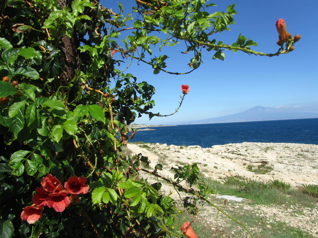 Villa Sicily Sul Mare Tra Catania E Siracusa 아우구스타 객실 사진